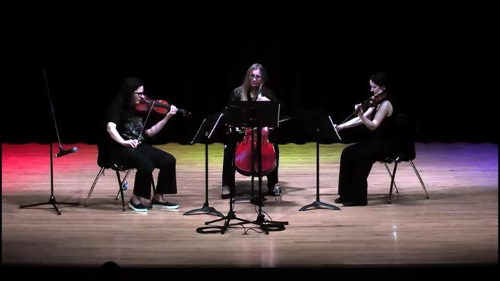 Thumbnail image for ACPL Presents: Music at the Library - Super Strings