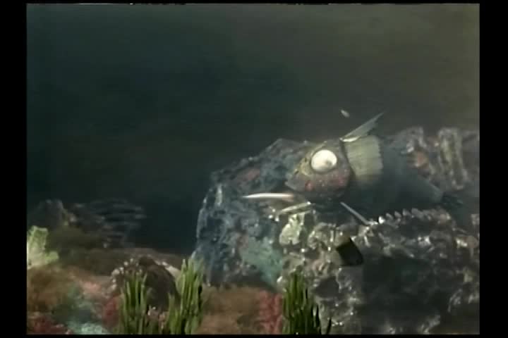 Stingray: ep1