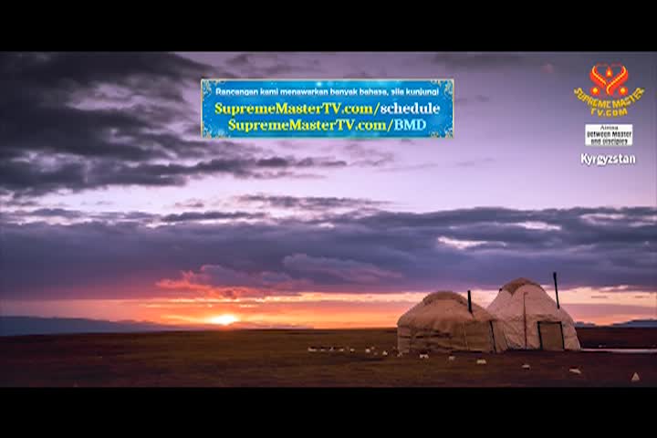 Supreme Master TV - 07-07-720p-60m