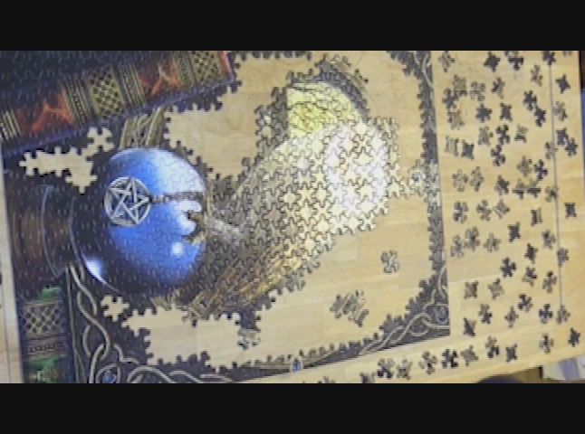 Puzzled: Owl